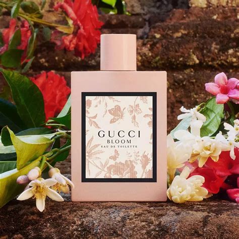 gucci bloom fragrantica